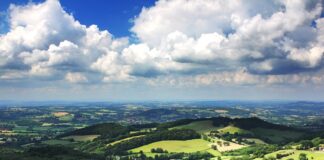 Co zamiast Worcestershire?