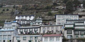 Ile zarabia Sherpa?