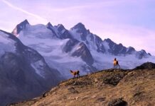 Jakie buty na trekking w Himalaje?