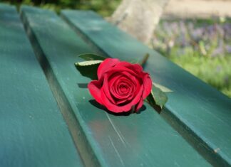 Jak zrobić ławkę z huśtawki?